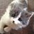 Sharon Fisher Vale's profile image