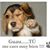 Cuacualto Flores's profile image
