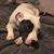 Jami Clark's profile image