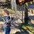 Robbin Renee's profile image