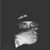 Shawn Hauer's profile image