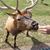 John Perrin's profile image