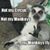 Michele Wheeler's profile image