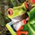 Sue Dilley's profile image
