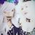 Heather Lotus's profile image
