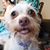 Karen Penna's profile image