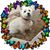 Lynn Jachimek's profile image