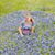 Margaret VanBruggen's profile image