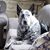 Dawyn Freeman Almonrode's profile image