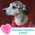 Kelly Phillips's profile image