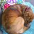 Susan Wiley Oleneack's profile image