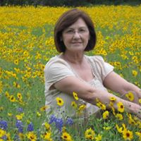 Nancy Kvapil's profile image