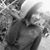 Adora Hazelrigg's profile image