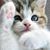 Elaine Smith's profile image