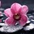 Donita Marie's profile image
