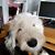 Bruce Horton's profile image