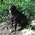 Groover Holmes's profile image