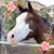 Suzann Cottrell's profile image