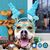 LeighAnn Baca's profile image