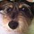 Lisa Golaszewski Johnson's profile image