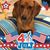 JoAnne McCraw's profile image