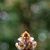 Andrea De Los Reyes's profile image