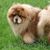 Milt Pierson's profile image