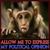 Debbie Bishop Carr's profile image