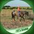 Alison McKinney Poteet's profile image