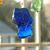 Maritza Sanchez's profile image