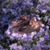 Deborah Jones Robinson's profile image