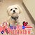 Sue Maniatty Hunter's profile image
