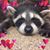 Mary Welch's profile image