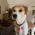 Mary Ellen Scalise Nash's profile image