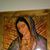 Eloy Moran's profile image