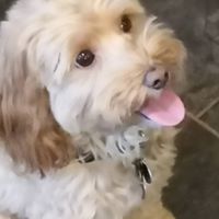 Angela Quinn Gangl's profile image