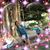 Rosalina Cabael's profile image