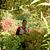 Pilar Arnaud's profile image
