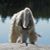Richard Snell's profile image