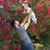 Victor Cortez's profile image