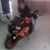 Ruso Rojas's profile image