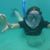 Laura Pennington's profile image