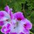 Jacqui Landry's profile image