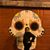Tiffany Murray's profile image