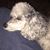 Grandy Doux's profile image