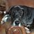 Kerensa Willemsen Hardy's profile image