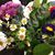 Anne Patterson-James's profile image