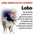 Jr de la Rosa's profile image