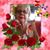 Alicia Brizuela Haddad's profile image