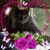 Lori Helayne Zipperstein-Karbus's profile image